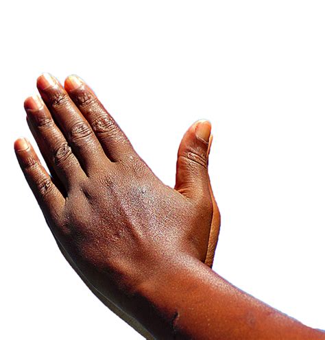 Praying Hands Prayer African American God Praying Png Download 977 | Images and Photos finder