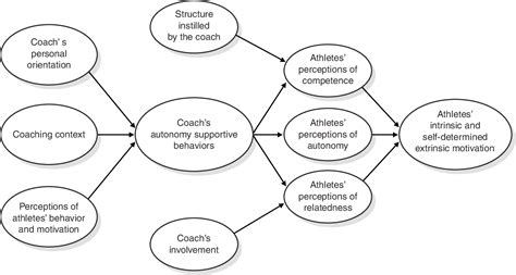 [PDF] Intrinsic and Extrinsic Motivation in Sport and Physical Activity ...