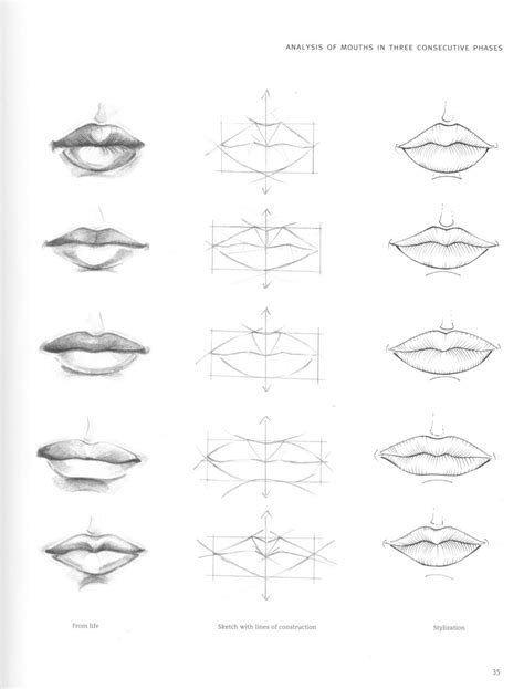 Figure drawing for fashion design | Lips drawing, Lip drawing, Drawings