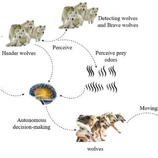 Wolves' hunting model. | Download Scientific Diagram