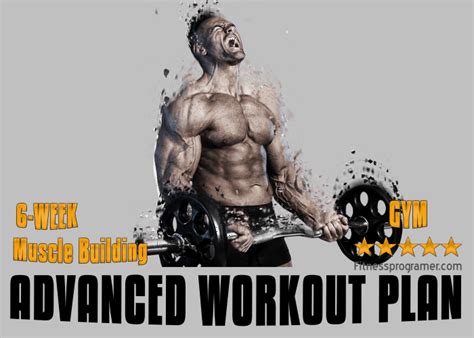 Bodybuilding Workout Routines For Mass Muscle Building | EOUA Blog