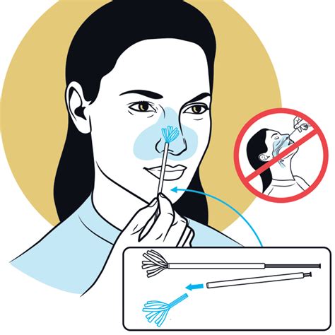 Nasal Swab Collection Procedure