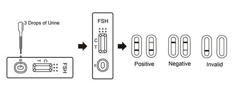 Rapid FSH Menopause Test Manufacturers & Suppliers - China Wholesale - Singclean Medical