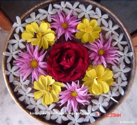 Flower Decoration / Flower Kolam / Poo Kolam - 10 ~ Kurinji Kathambam