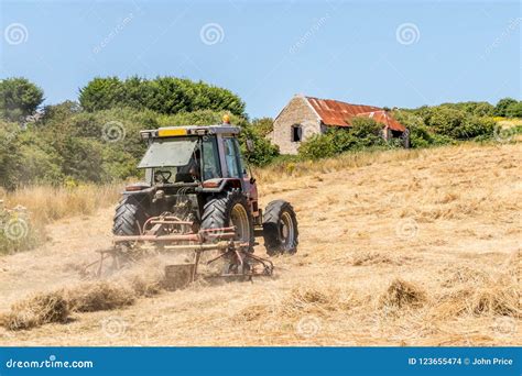 Tractor Cutting Dry Grass in a Field Stock Photo - Image of lawnmower, farm: 123655474