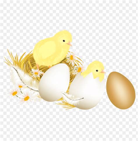 Hen With Golden Eggs Clipart Free