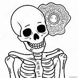 Detailed Human Skeleton Coloring Page 37094 29322 sketch template