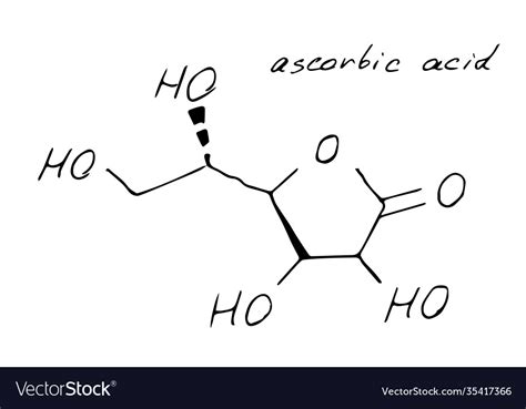 Ascorbic acid chemistry molecule formula hand Vector Image