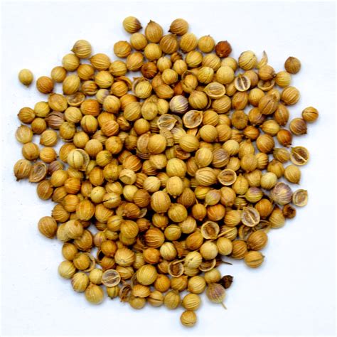 Coriander Seed - 1 oz