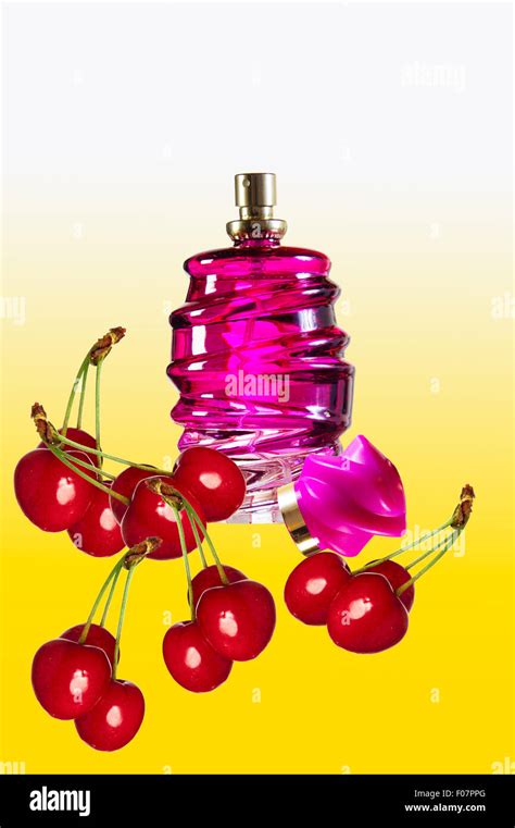 Perfume bottle white background, background and studio lighting Stock Photo - Alamy
