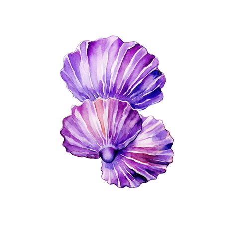 Cute Purple Shells Stationary Sticker Oil Painting, Shells, Purple, Cartoon PNG Transparent ...