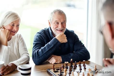 The Best Board Games for Seniors | LittleHaloJ