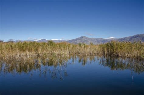 Small Prespa Lake and Prespa National Park, Greece Stock Photo - Image of mountain, horizon ...