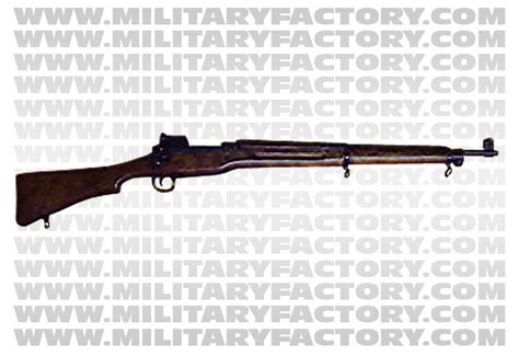 M1917 Enfield (American Enfield) Bolt-Action Service Rifle | RallyPoint