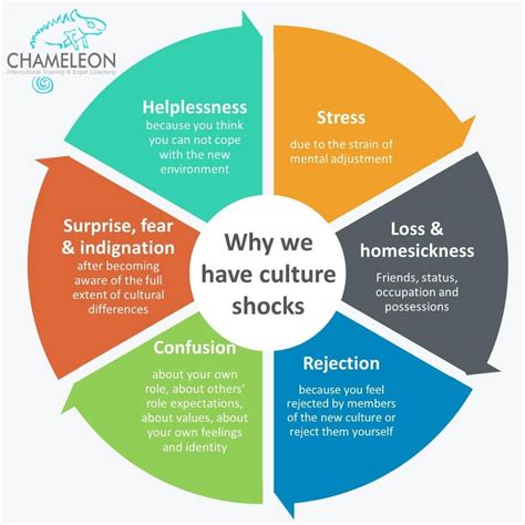 Why we experience culture shock | Chameleon Intercultural Training & Coaching