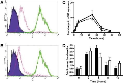 Figure 1 from The Duffy Antigen/Receptor for Chemokines Exists in an ...