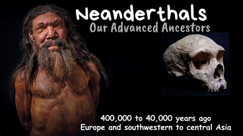 Neanderthals: Our Advanced Ancestors - AnthroMania