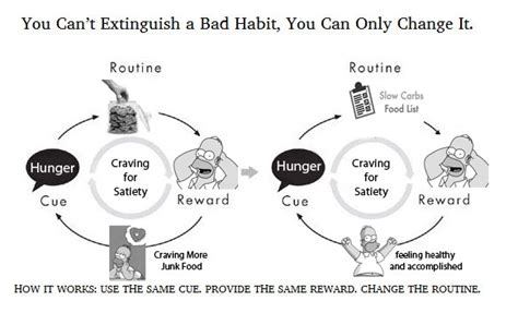 The Power of Habit (Summary) – Charles Duhigg