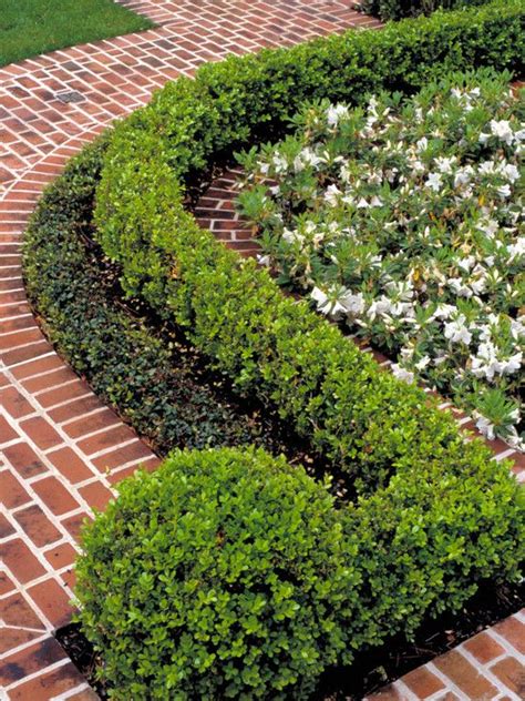 Boxwood Hedge Design, Pictures, Remodel, Decor and Ideas. I like how the last plant is round ...