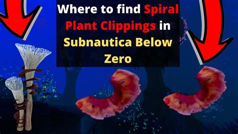 Spiral plant subnautica below zero - richlopa