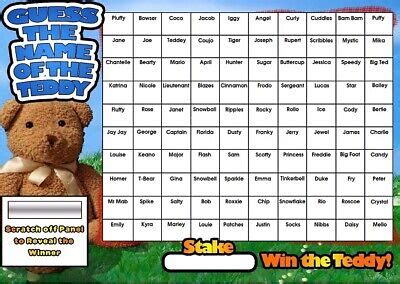 GUESS THE NAME OF THE TEDDY A3 FUNDRAISING SCRATCHCARD CHARITY EVENT 100 Squares | eBay