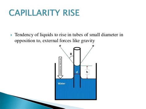 SS1 Physics Third Term: Capillarity - Passnownow