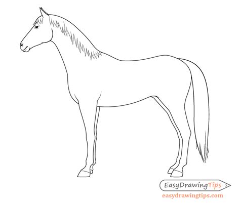 How to Draw a Horse From the Side View Tutorial - EasyDrawingTips