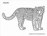 Jaguar Xjs Page Coloring Pages sketch template