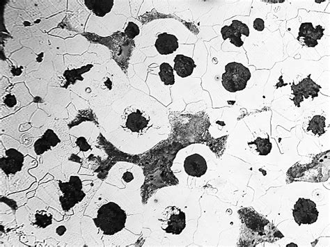 Microstructure of the cast iron used in the study: ferrite, pearlite,... | Download Scientific ...