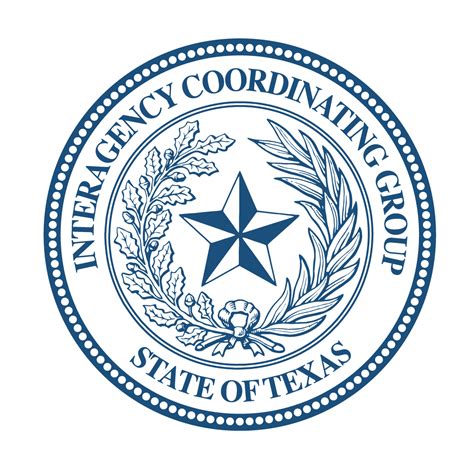 Texas Interagency Coordinating Group | OneStar Foundation