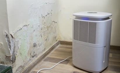 Air Purifiers for Mold - Mold Testers 561