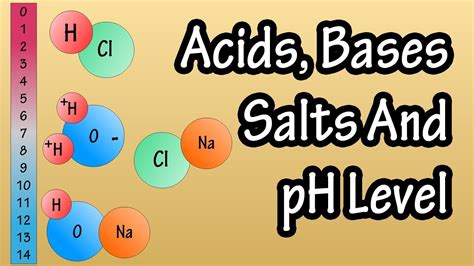 Ph Scale Acids And Bases