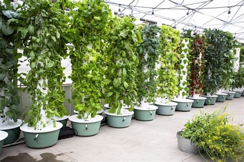 6+ Top Hydroponic Tower Garden | 2020 Reviews - GrowYour420