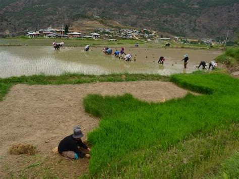 Bhutan cultural tour | Responsible Travel