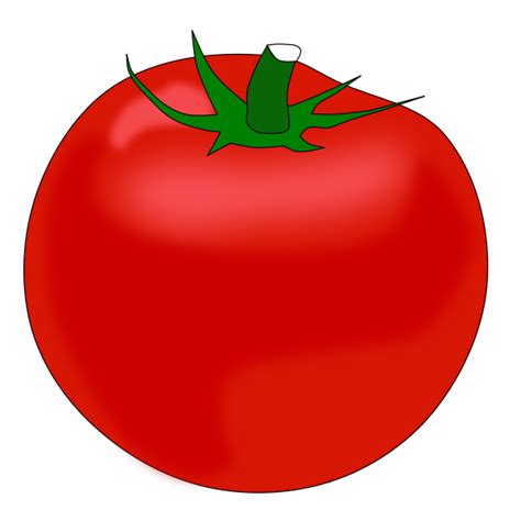 Big tomato | Free SVG