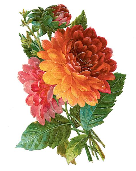 Vintage Feed Shack | Flower painting, Flower art, Flower illustration