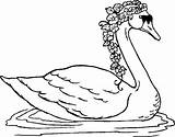 10  Swan Coloring Page MarselinoFerdinan sketch template