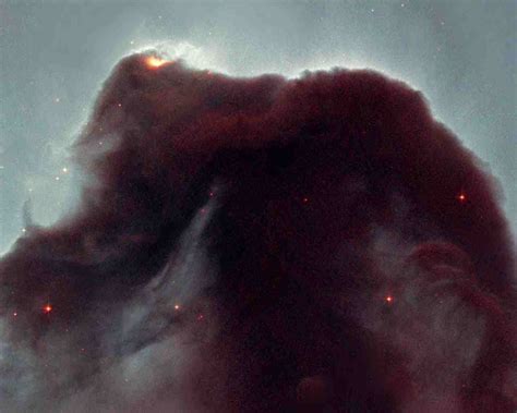 Horsehead Nebula - Space Wallpaper (22812219) - Fanpop