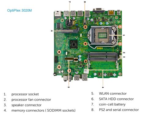 Dell Optiplex 9020 Motherboard Diagram