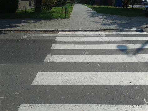 Zebra crossing stock photo. Image of zebra, street, lines - 42878386