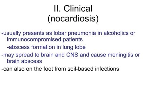 Actinomyces. lecture slides