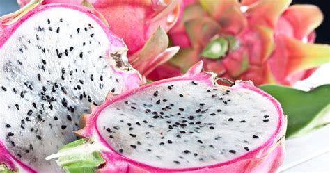 Pitaya Season - Cozumel 4 You