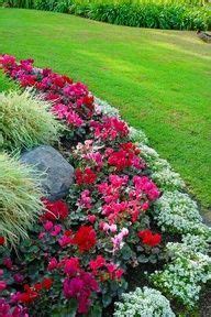 17 Best annual flower beds ideas | flower beds, planting flowers ...