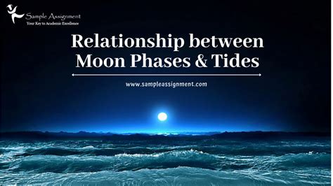 Relationship Between Moon Phases & Tides