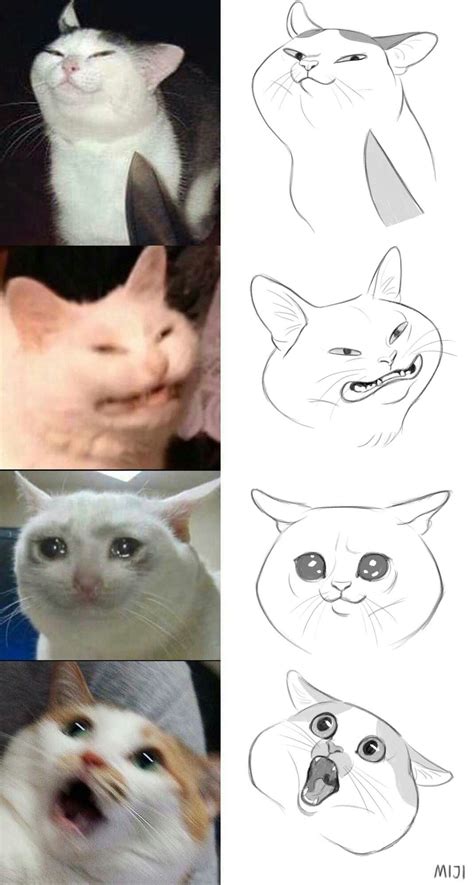 Cat Meme Drawing