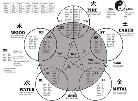 Acupuncture Masters: Acupuncture Five Elements