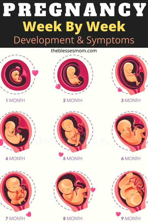 Pin on Baby Development Activities For Moms