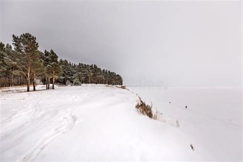 The Ob River Coast in Winter. Novosibirsk Region, Western Siberia ...