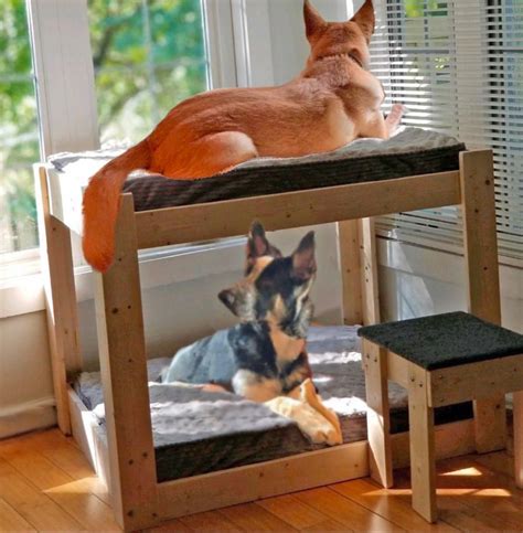 This Dog Bunk Bed Will Save You Space In Smaller Homes and Apartments