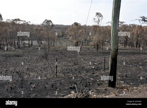 CENTRAL QUEENSLAND AFTER THE FIRES Stock Photo - Alamy